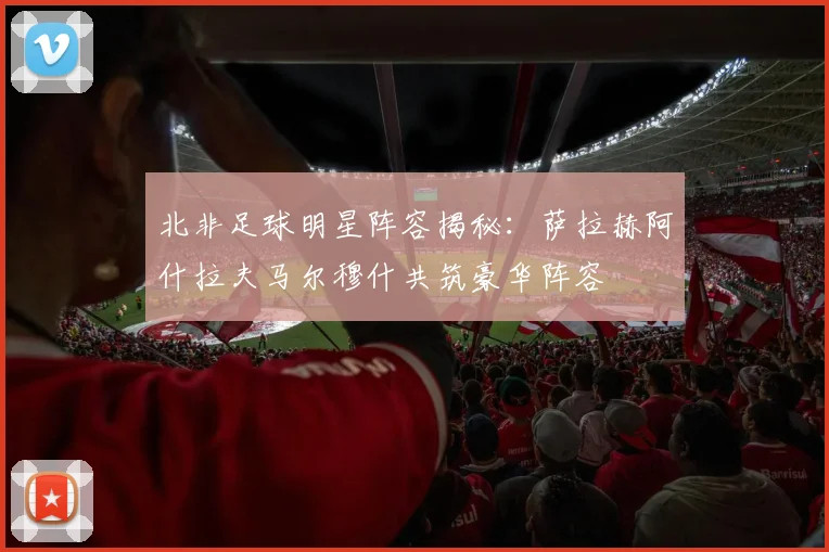 北非足球明星阵容揭秘：萨拉赫阿什拉夫马尔穆什共筑豪华阵容