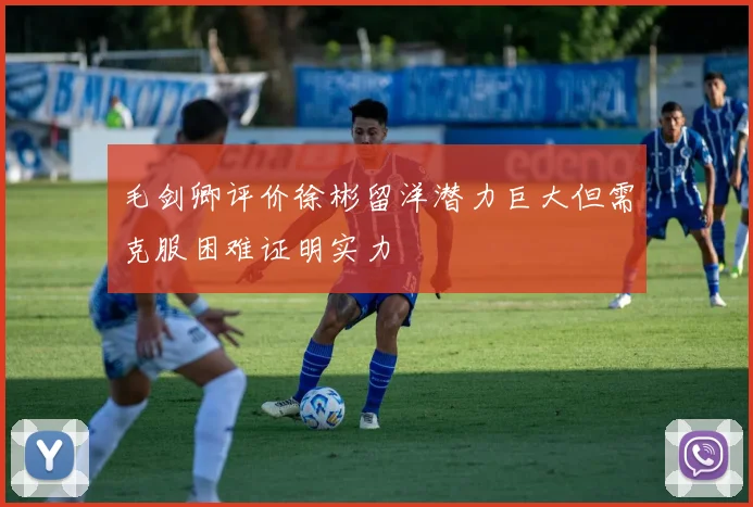 毛剑卿评价徐彬留洋潜力巨大但需克服困难证明实力